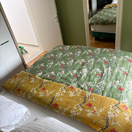 Apartman Diana 스렘스카 미트로비차 외부 사진